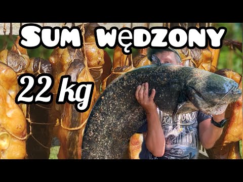 Sum wędzony 22 kg tłuste rybsko