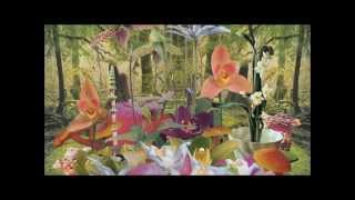 Monster Rally - Kingsley