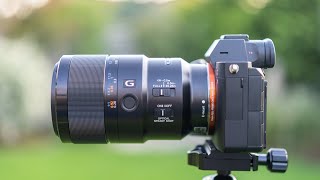 Video thumbnail for Sony FE 90mm F2.8 Macro G OSS Review w/ Sony A7R IV A by The Hybrid Shooter