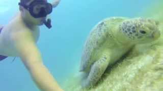 Tuna Bay - Snorkeling and Diving Around