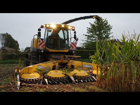 Chopping Corn | New Holland FR 600 | New Holland T7050 T7030 T6080 | Hena BVBA