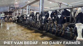 Download lagu Milking Holstein Cows (223) mp3