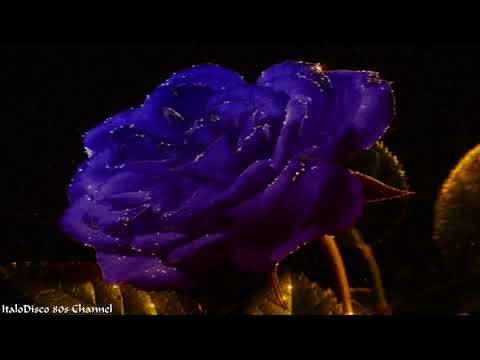 Retronic Voice - Feel the night (Extendecall mix Italo Disco 2012)