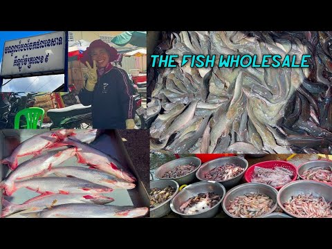 Amazing! Kilometer # 9Market is a freshwater fish distribution Market in Phnom Penh.