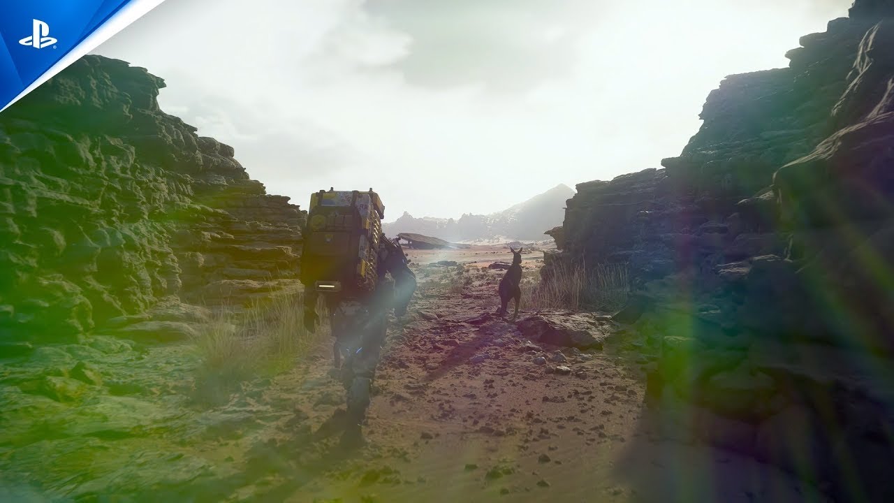 Miniature vidéo
