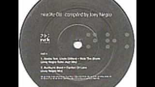 The Sunburst Band - Garden Of Love (Joey Negro Remix).wmv