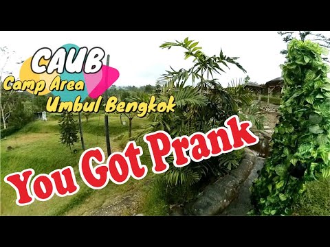 anda-kena-prank-camp-area-umbul-bengkok-prank-manusia-pohon