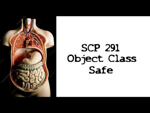 SCP 291  Disassembler and Reassembler