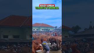 Download lagu Rekor Kurban Tebanyak Di Indonesia mp3