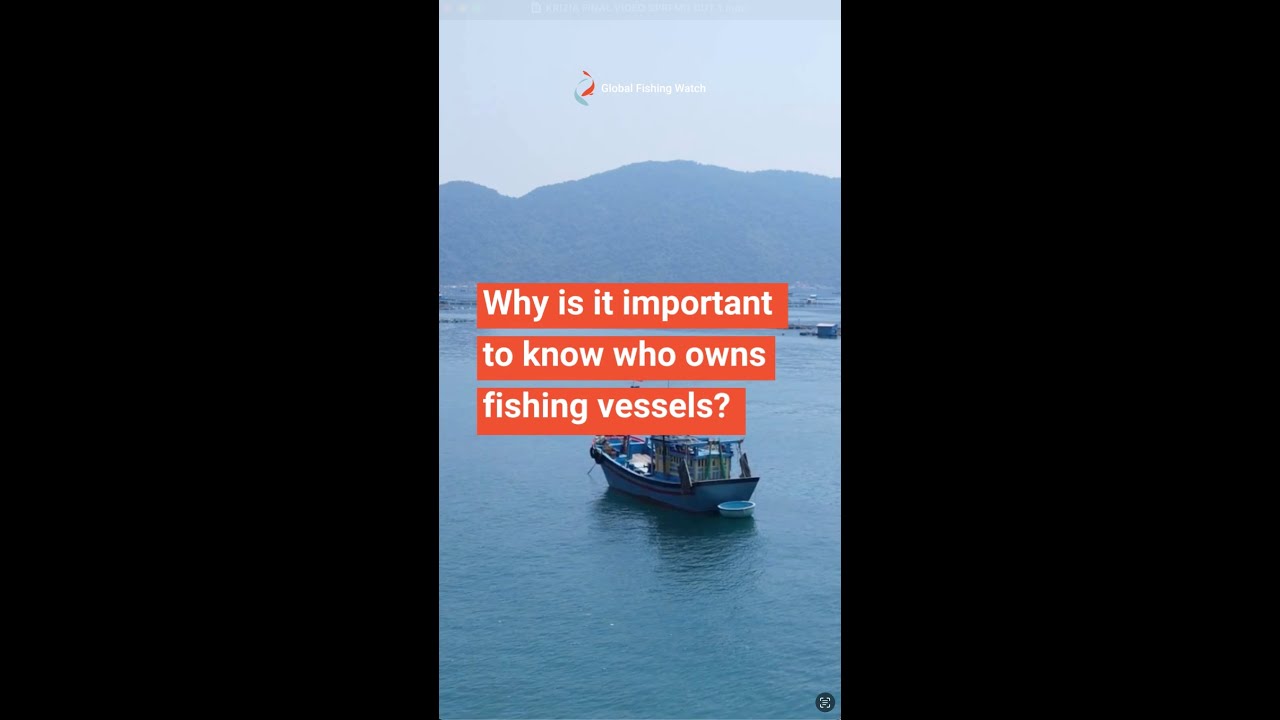 Why is it important to know who owns fishing vessels?