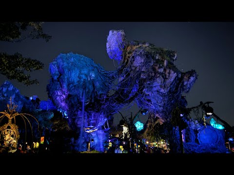Pandora - The World of Avatar 2023 4K Night Walkthrough | Walt Disney World Disney's Animal Kingdom