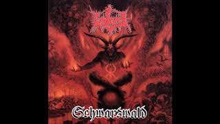 Unlord   Schwarzwald Full Album