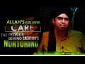 [ English ] Allah's Exclusive Care The Power Behind Creation's Nurturing !!