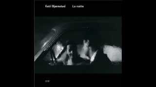 Ketil Bjørnstad - V