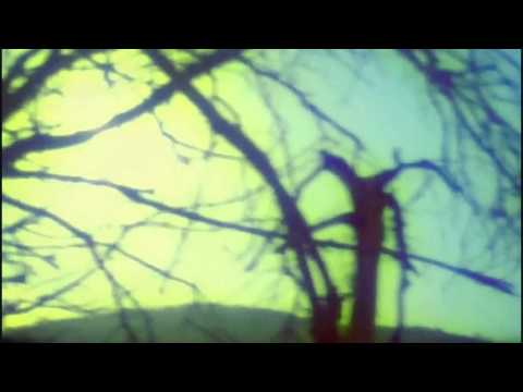 Yonderboi - Tameless (unofficial video)