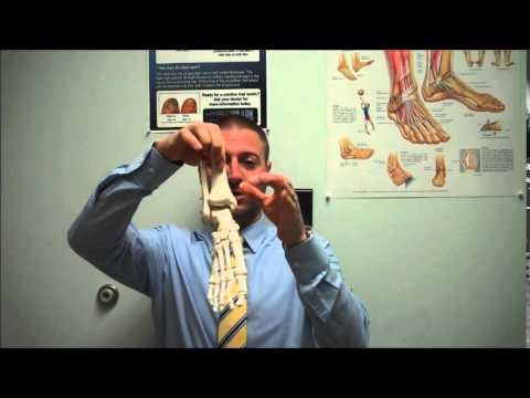 Ankle Fractures Explained