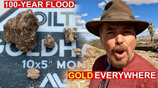 "I Found Gold Nuggets EVERYWHERE After This Massive Arizona Flood"
