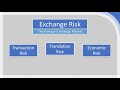 Foreign Exchange Risk