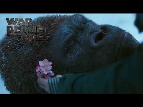 War for the Planet of the Apes (TV Spot 'We Are the Beginning and the End')