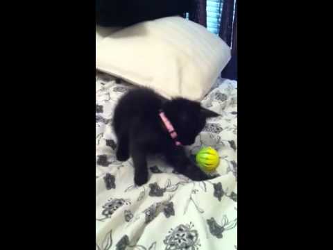 Shriya playing and growing