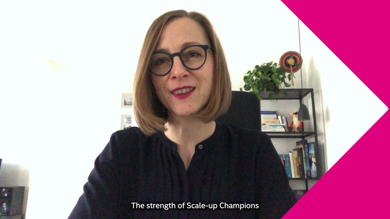 🚀Scale-up Champions Investment Readiness Programme