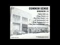 Common Sense Breaker 1 9 Slope Instrumental