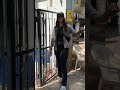 Tripti Dimri S LATEST Video Has Fans Talking Is She Engaged Shorts Trending Bollywood