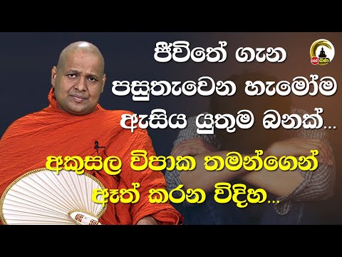 Kuttikulame Pemalankara Thero l Meth Neth Pamula l 2025 07 20