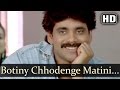 Botiny Chhodenge Matini Dekhenge Shiva Song Nagarjuna Amala Filmigaane