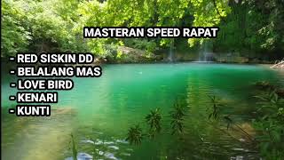 Download lagu Kecepatan burung murai Masteran mendekat mp3 Download lagu Kecepatan burung murai Masteran mendekat mp3