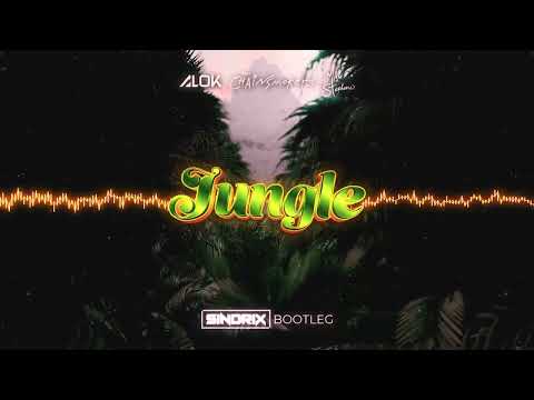 Alok, The Chainsmokers & Mae Stephens - Jungle (SINDRIX BOOTLEG)
