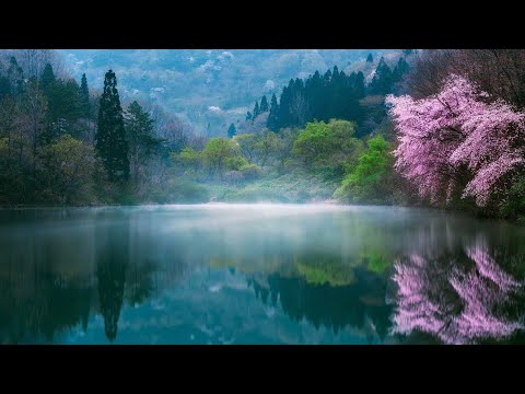 PPRBC Sunday Morning Worship 4-23-2023