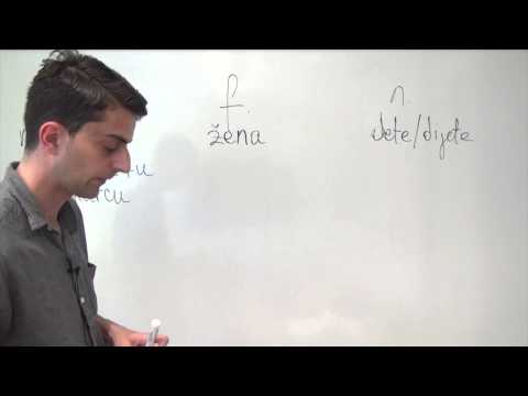 Bosnian/Croatian/Serbian Grammar: The Dative Singular of Nouns