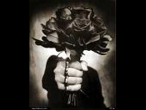 baba trodon Mr. Valos - une te dua