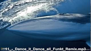 Dance It Dance All Funkt Remix