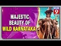 Wild Karnataka To Premier Across The World On June 5
