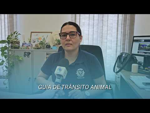 Vídeo