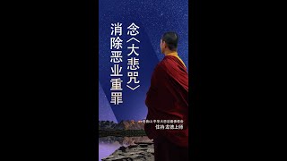 观音山 中华大悲法藏佛教会住持  龙德严净仁波切：念〈大悲咒〉消除恶业重罪