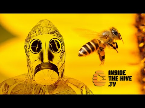 BIOLOGICAL WEAPONS to help HONEY BEES fight VARROA MITES