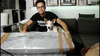 Video thumbnail for ESP LTD Deluxe Phoenix 1004 Bass - Unboxing with my Bullterrier 4K by Karen's ZuHause