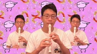 Kero Kero Bonito Flamingo on recorder