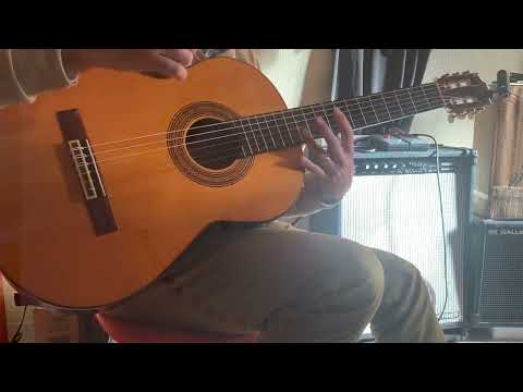 Admira Avila 1990s - Natural Gloss Solid Spruce top Made in Spain Classical Guitar Very Good Condition with Vinylex Gigbag image 22