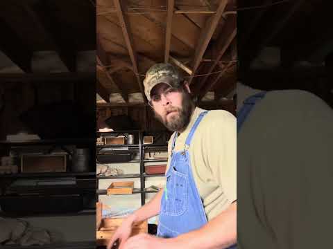 Harvesting European Nightcrawlers