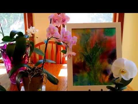 Summer orchid care tips.