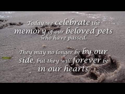 Celebration of Life Pet Memorial Video