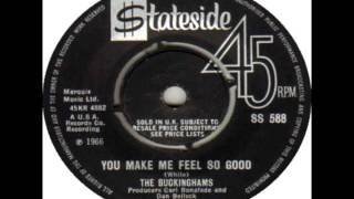 The Buckinghams - You Make Me Feel So Good - 1967