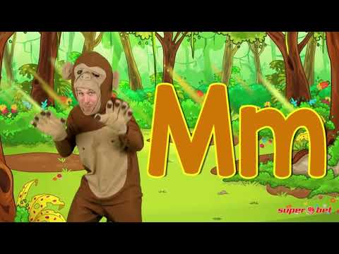 U BT Cluj Napoca - CSM Steaua București EximBank 94-99