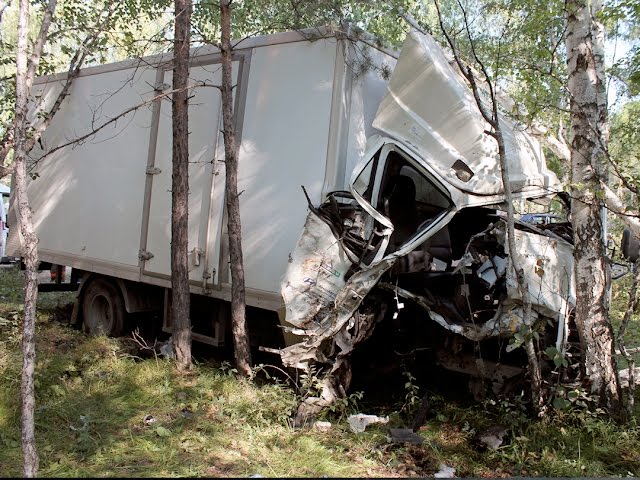 Грузовик врезался в дерево