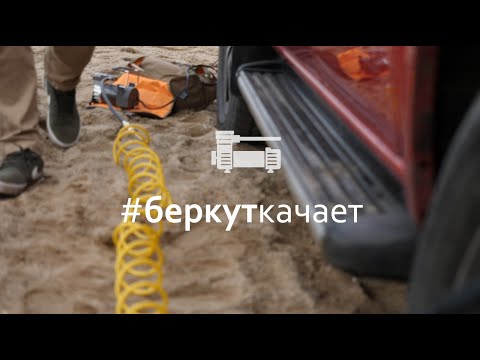 Компрессор автомобильный беркут 24
