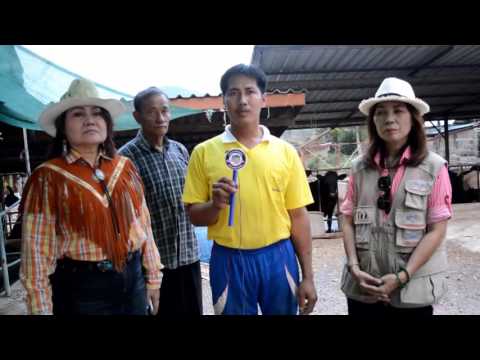 เกี่ยวกับการเสริมเต้านม ก้อนเนื้อเล็ก ๆ ในเต้านม